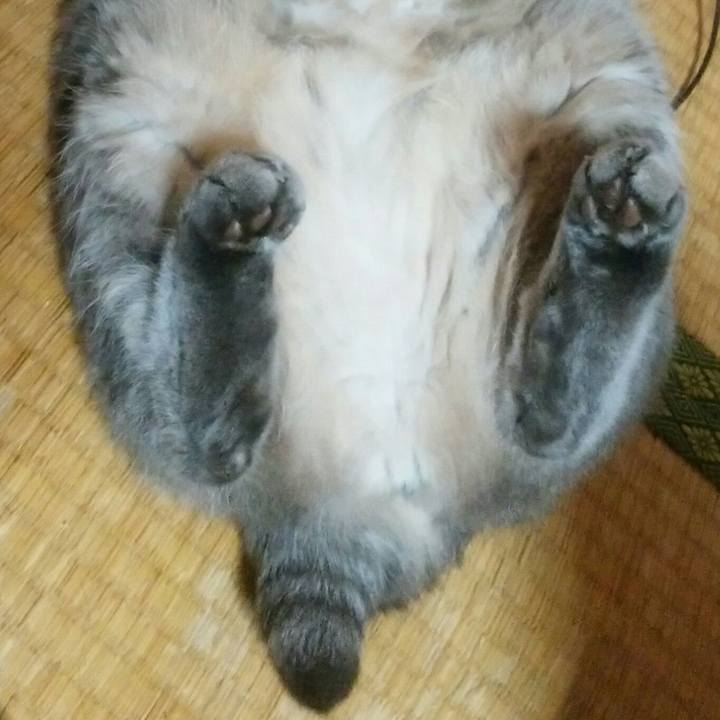 69639ece 0456 4d6c ba93 371cab447181 1553103863962