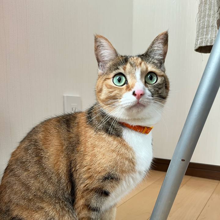 6963ab56 626f 42f2 b10b 7e28afb25b50 1637972618663