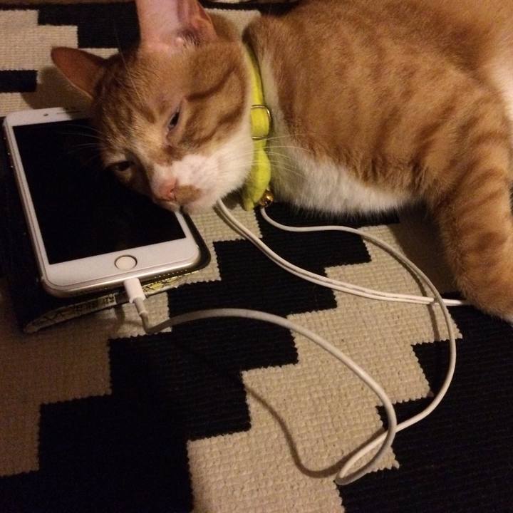 6963d9af 414d 455a bb10 388341f1784c 1532348109202