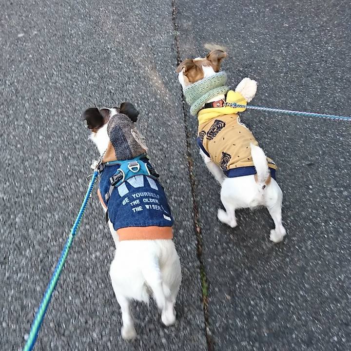 6963ff16 6b35 4ef3 ad45 9964d7744fed 1578034368862