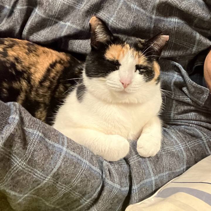 6964031c f1ef 44db 8d68 2f1a7866c90c 1775302842156