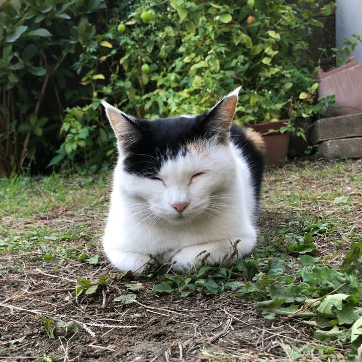 696410c7 ba64 4235 9b8f ce32eb922c6d 1604615102481