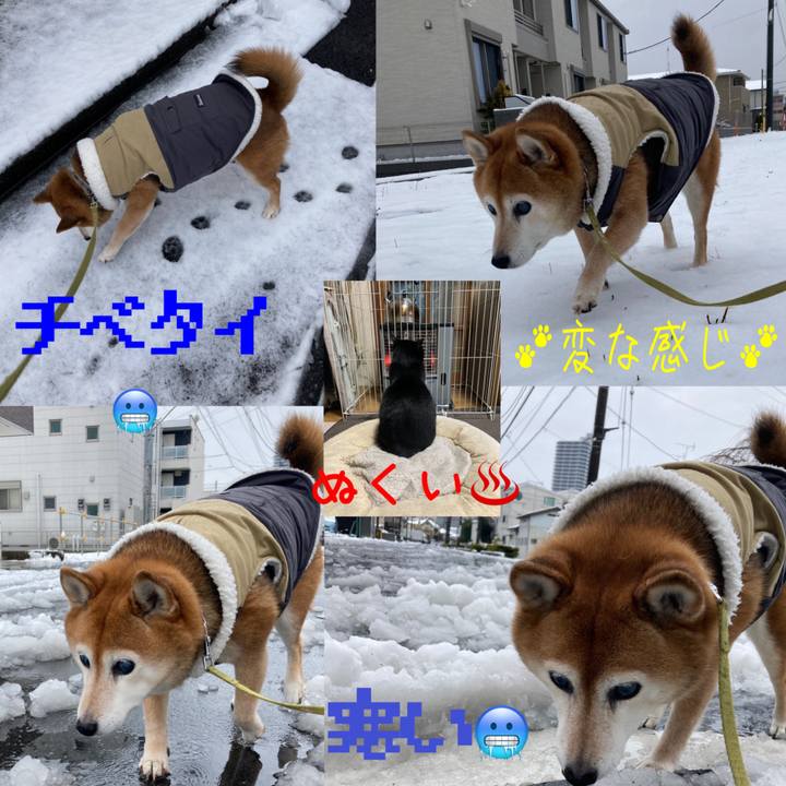 69641a0a 84df 4531 9e44 d47fb92c59c4 1707185576051