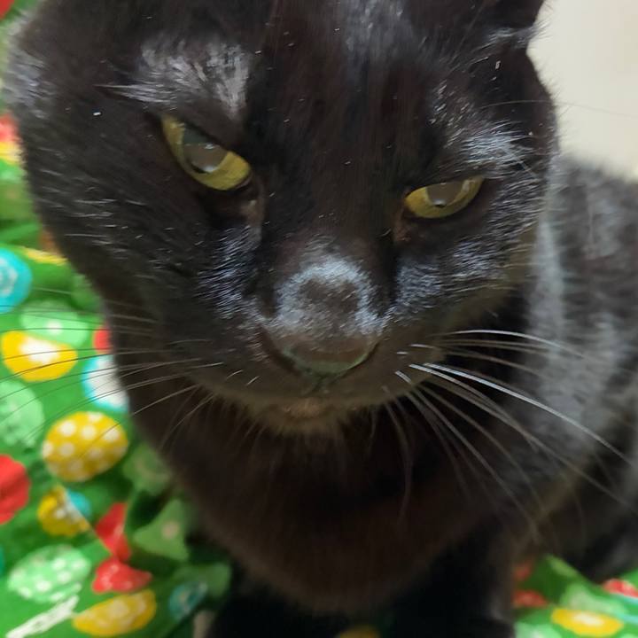 69642b12 1a4b 4d76 b493 89f68274e84b 1767563519075