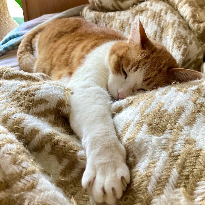 6964371a 9f33 43b8 bc2e 3ea6722b0ad7 1649806508745