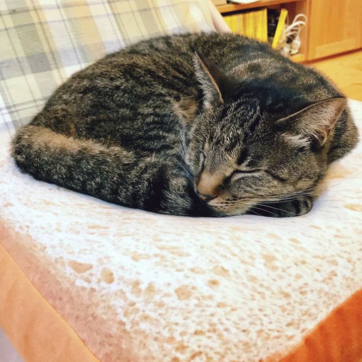 69645a3b 05f6 4b6c 95a9 a7709284eb1d 1519994226984