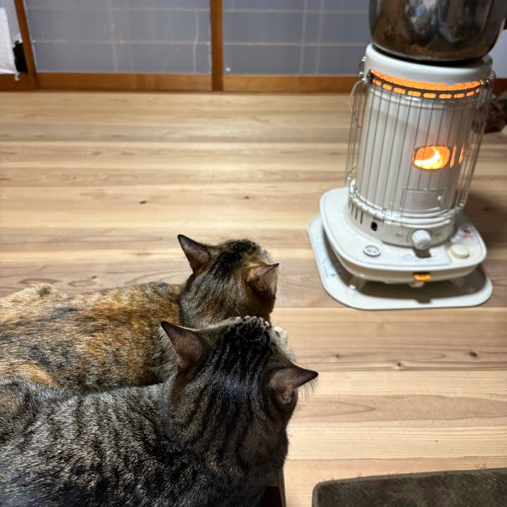 6964702a 53e9 413a a921 b3c26a3bb919 1764629177668