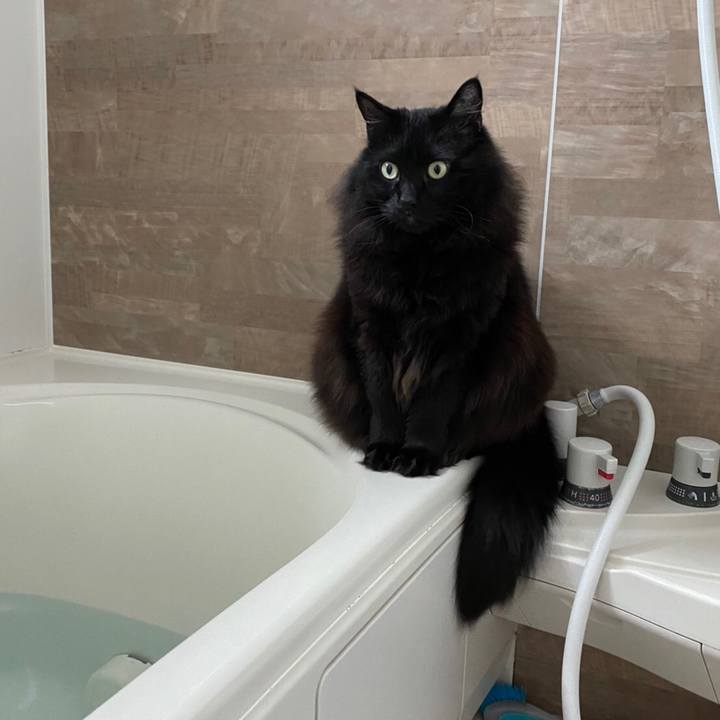 69647a6c 8bb5 4b35 92e3 31a0425a5396 1583027737367