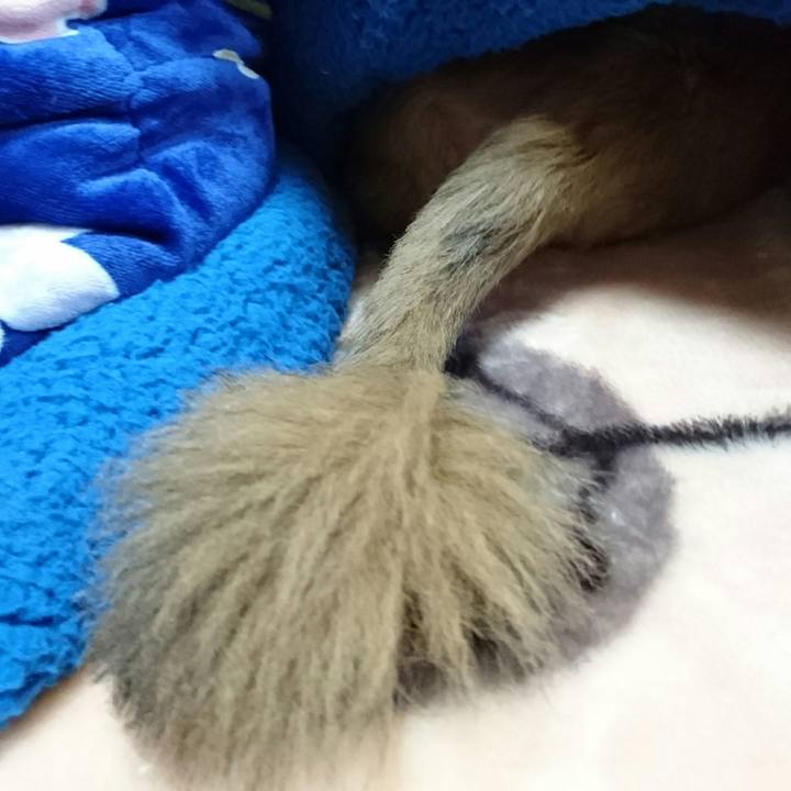 6964cbf9 a222 47d4 8130 6efd283d21fa 1511487347390