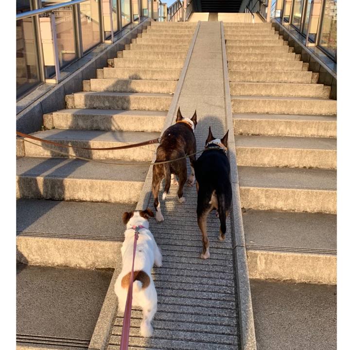 6964f785 fbec 4dde 8717 f9e21a4312be 1587294632846