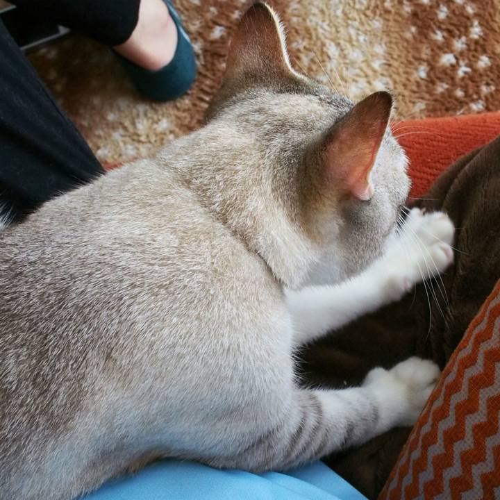 696519ca 1fea 4e4c b440 e2177a983f1f 1530322044432