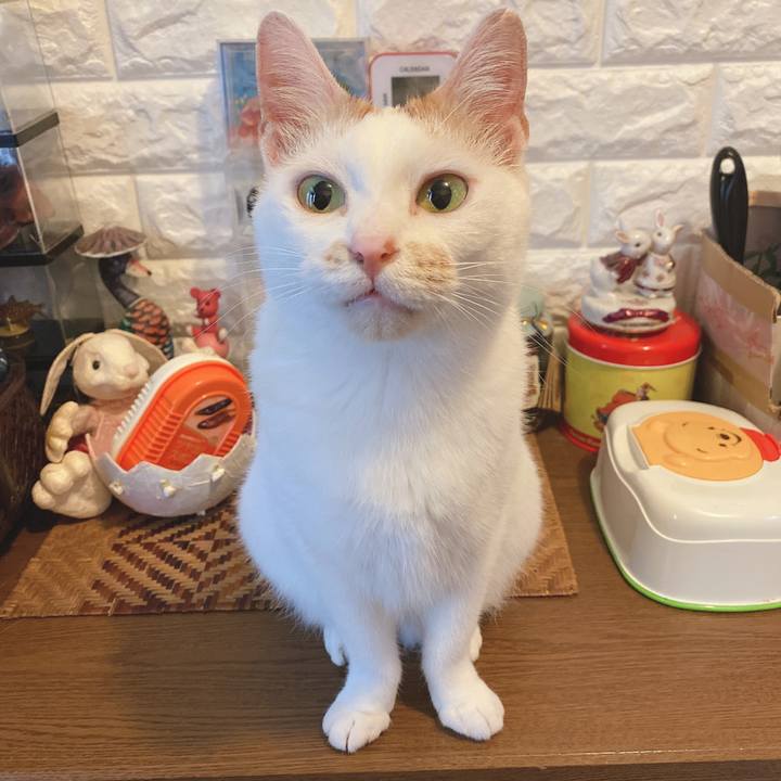 69652e46 4b7e 486f 9222 27290aee7d66 1594073753308