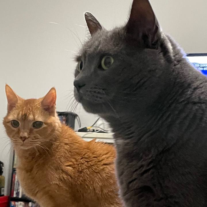 69656021 8c08 4155 838a 497919b4d370 1769273283061