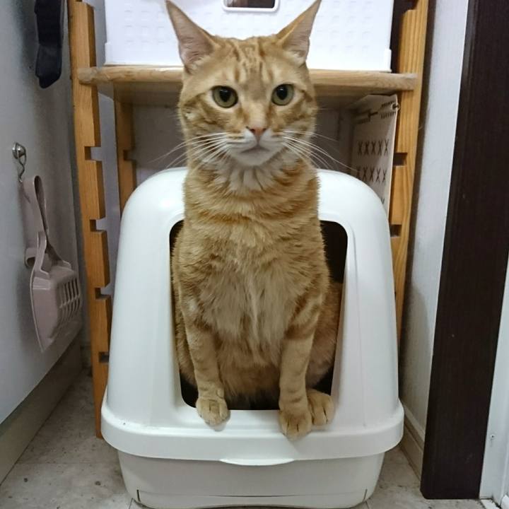 69657ca6 df11 48a7 8943 117ea3b680e2 1555326278545