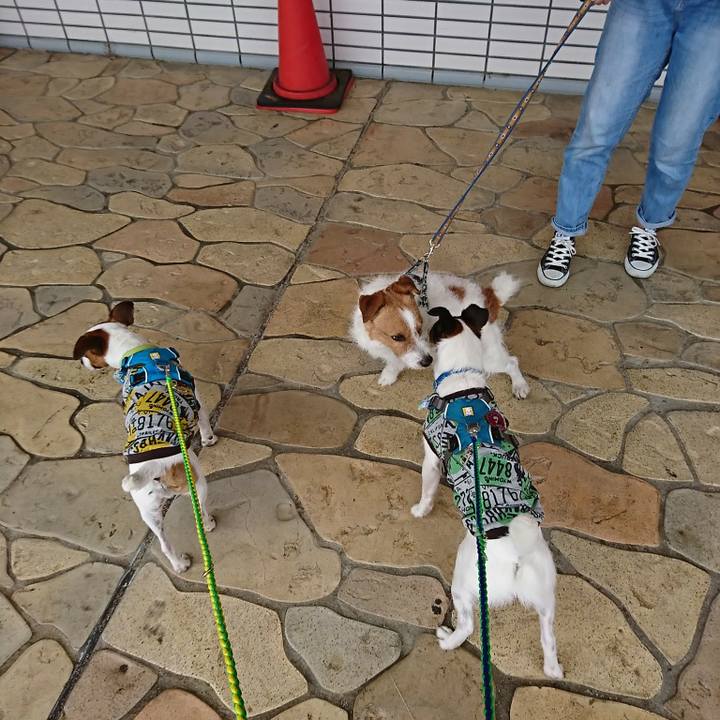 6965adbd 49a7 40fa 8f77 bdb238980ce7 1556587402761