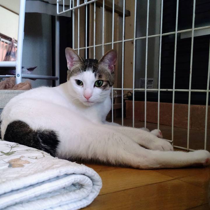 6965aef5 a19d 418d af71 d682ad17b129 1682981039703