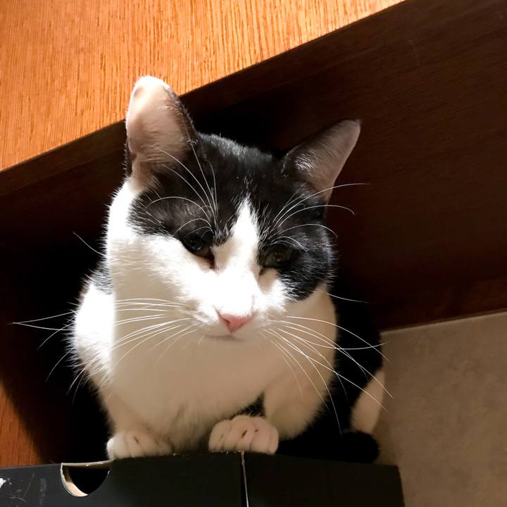 6965e127 d543 4be1 a586 cb02fa4c5790 1518187057623