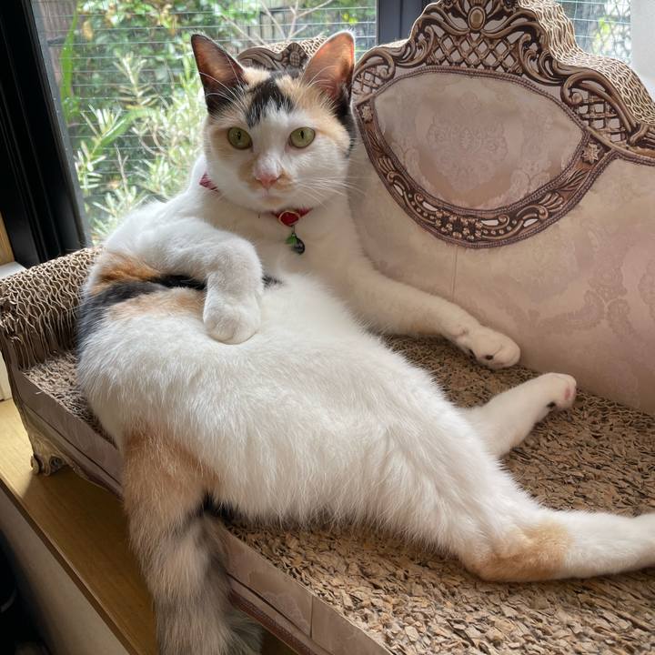 6965e170 3350 46e5 9f58 9f991f0934eb 1719107348300