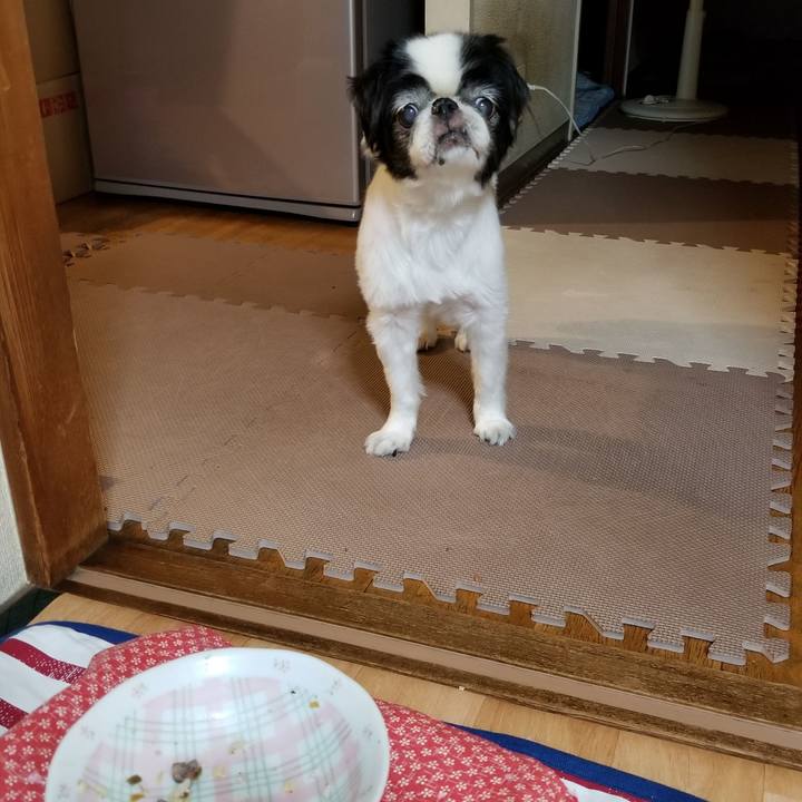 6965e892 33a9 459c ae0f 418206987ed5 1566642566405