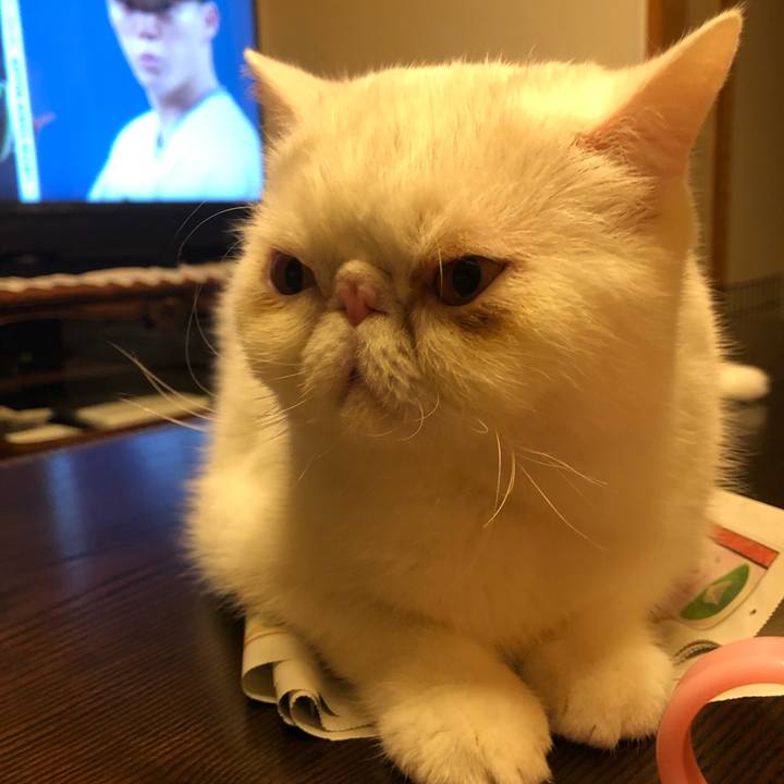 6965effd a0a7 4b41 8780 e280fe12da9b 1637406912846