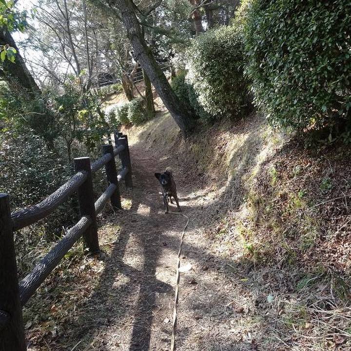 69660298 efde 46f3 8c68 efe160534352 1520162937174