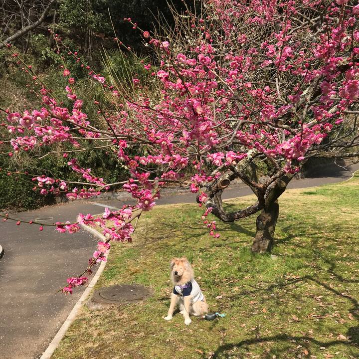 69661fa6 6d46 458b 92f4 09a227d3c4f0 1551579565050