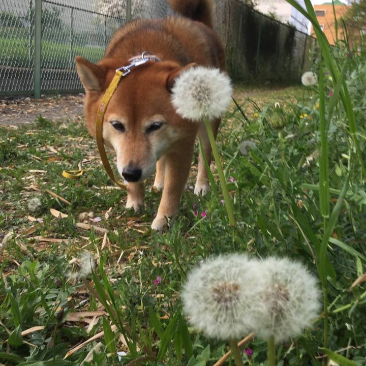 6966317a be31 4e8a 8a5b ca071a9d63ac 1555926924352