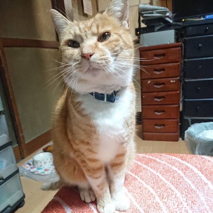 696636a2 6247 4f75 a026 c568dd88afdd 1605902028731