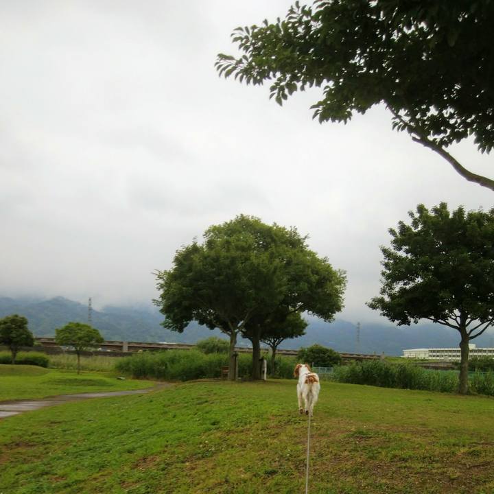 69664d8c 5d15 48fc ae3e eb27819a0f33 1529397706230