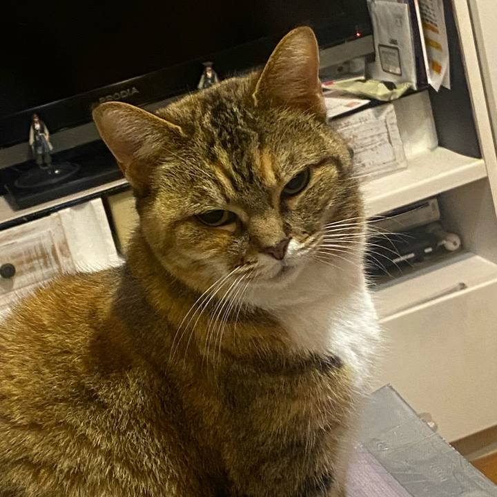 69668edd 3a31 4057 9771 433679d1ed22 1676320215221