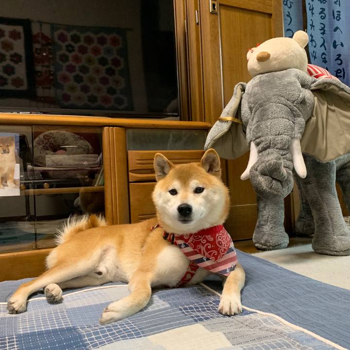 696692f1 e800 4204 8abf 5efb714537d1 1591698958997