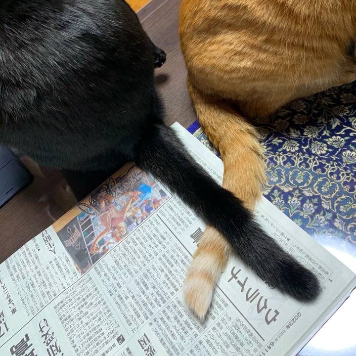 69669f65 34f4 4097 8b4e cdfcfc9998c4 1686438511212