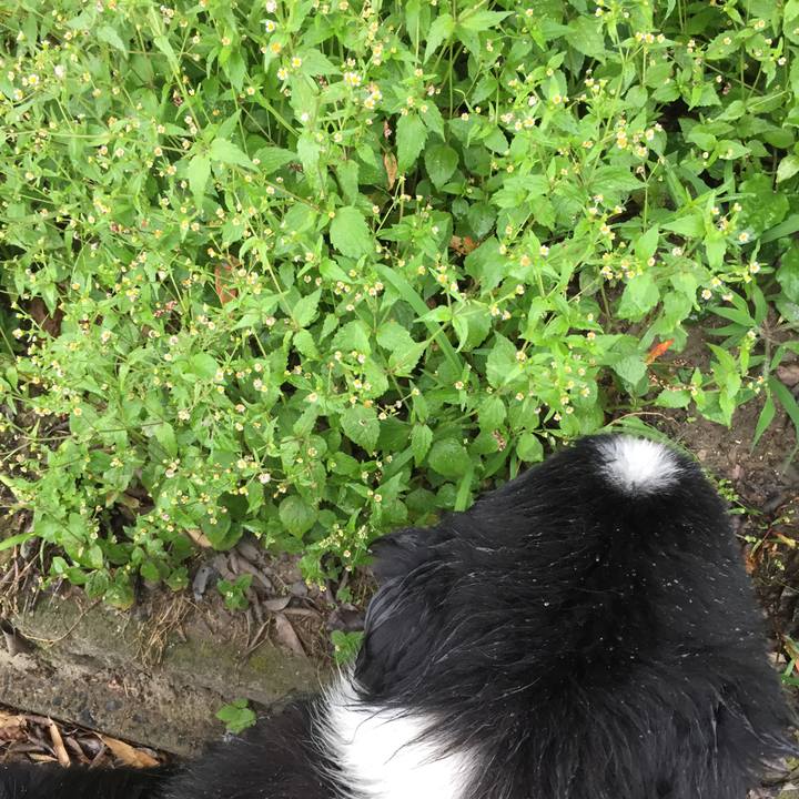 6966be90 747d 4149 9108 d5730699e062 1529970105124