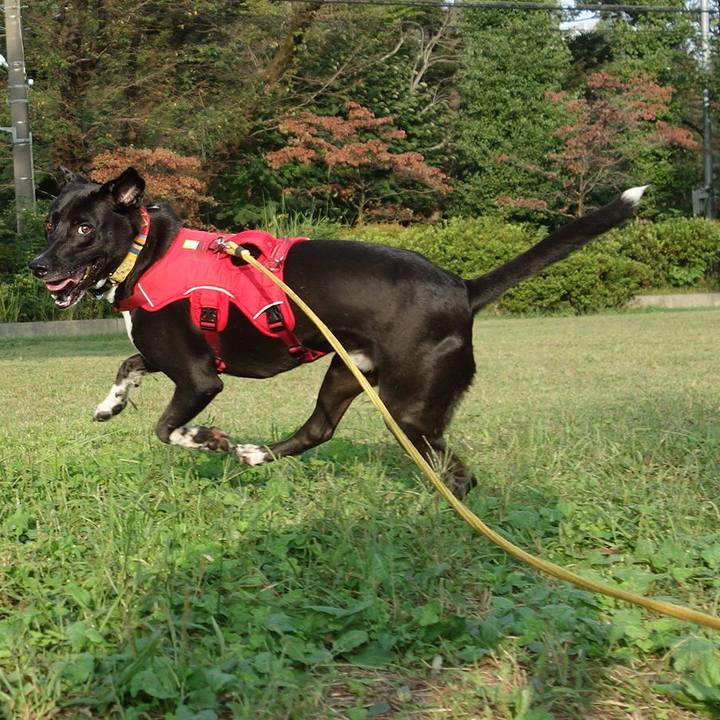 6966d858 ceb2 45e8 bfe3 88f27e5d27ba 1601681454817