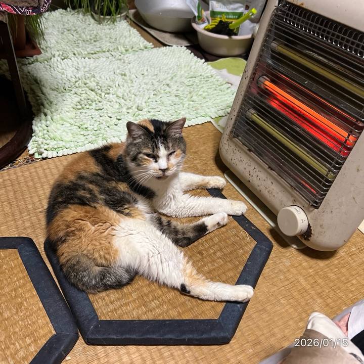 6966ebd0 1ecd 43db 9502 c6adc807eade 1768428576649