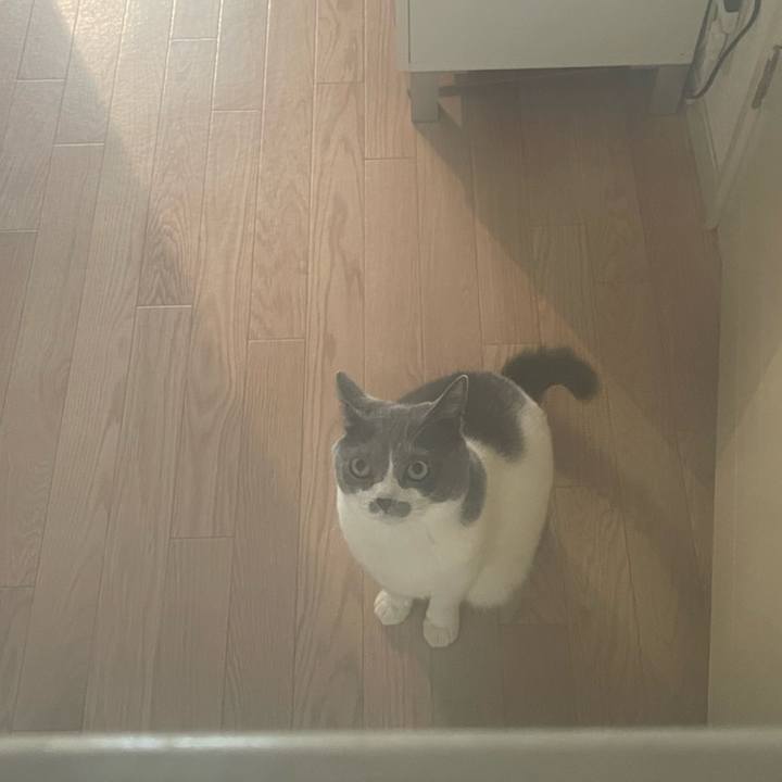 6967184e e0ba 4862 ae0c 3feda95dfa11 1707892336547