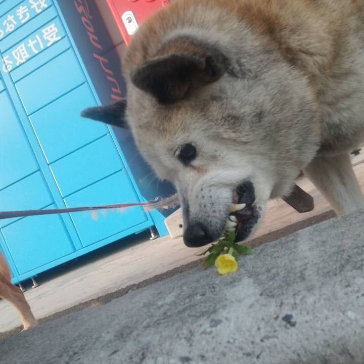 69673df3 e5b7 423b 8a2e e88d017bbd14 1666045070654