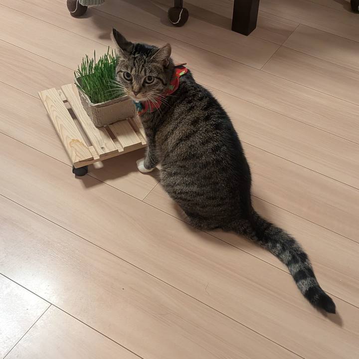 696763af 8646 4b87 9a2b 3b9f85521dcb 1766584398871