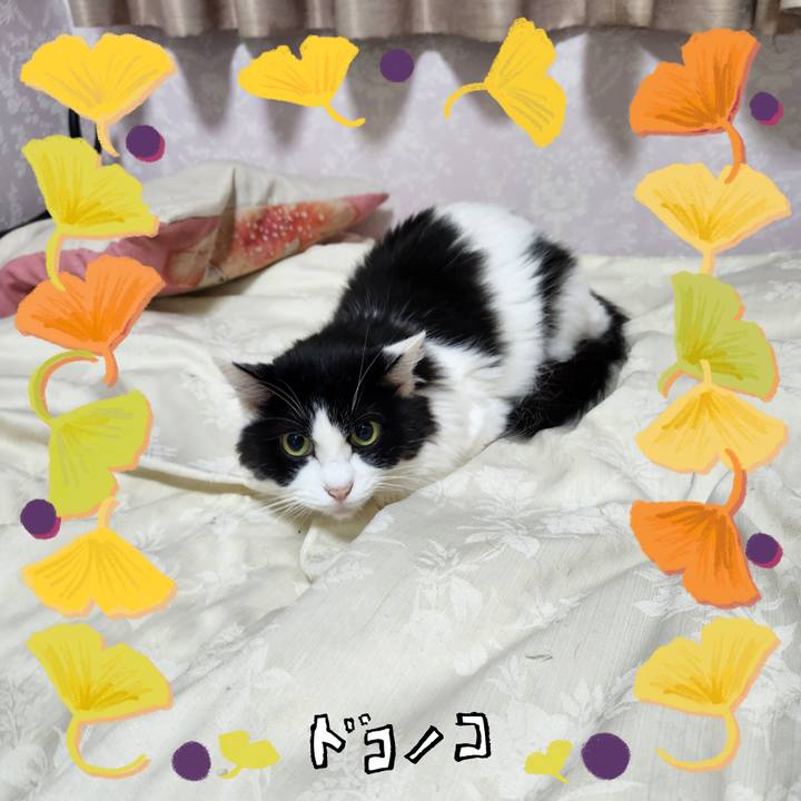 696790ea 1b8e 448c 9ed9 236ddfafc439 1729676072515