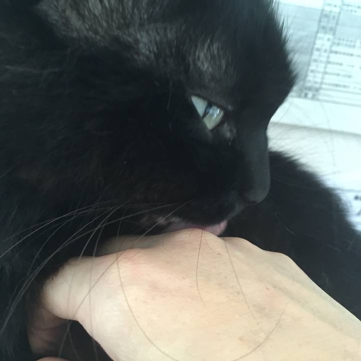 6967a28e 3622 4194 beee a00d00305622 1536971260540