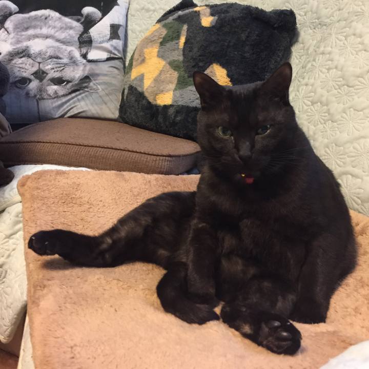 6967aaf8 b703 49d1 b663 96616d6f4edc 1521730872999