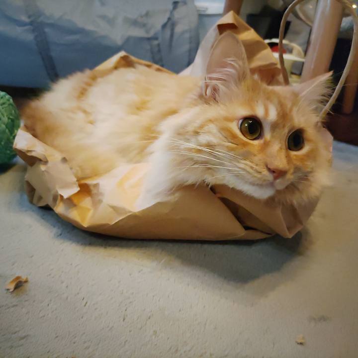 6967c700 bdaf 4ce0 9437 88a630a7dda2 1655286897223