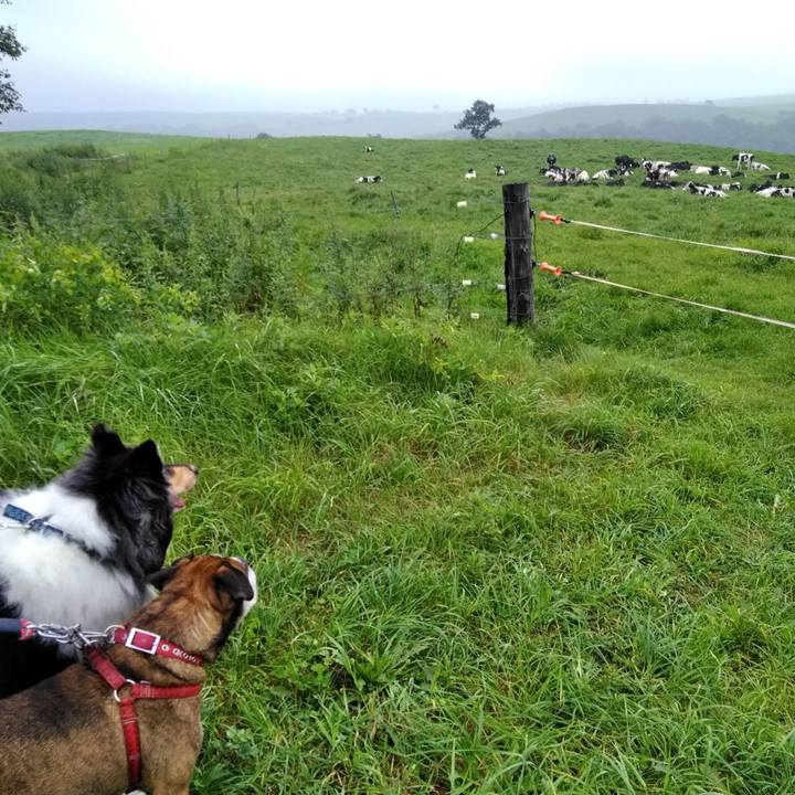 6968105c c84a 403a ae13 b867639c3034 1566005256892