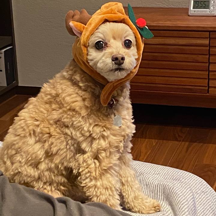 69683f8c 4f7b 451b 956f 3620e95c90c8 1608893879440