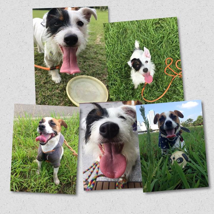 696840fb 469b 44ab b953 2d80203a5d47 1529564184904