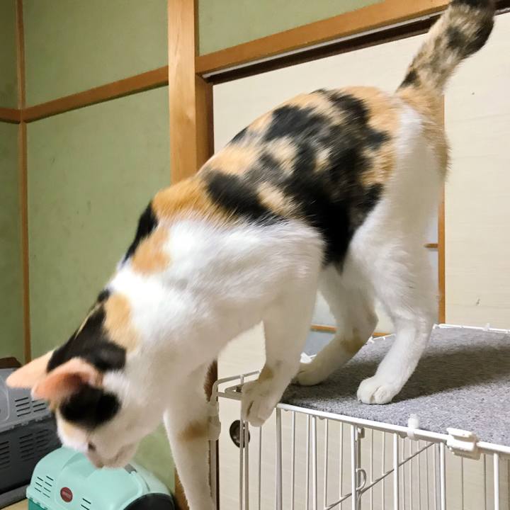 69685872 88c3 4881 bf6c 0a374eff1208 1507968936745