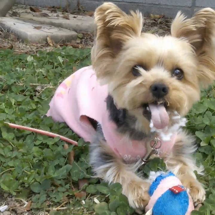 69685c6e 6bc3 48d3 8eaa 364f0118b7c9 1677471502164