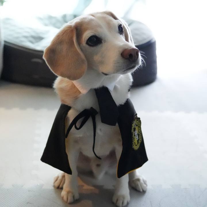 696875b0 9316 4f2b a5f1 e409cd6225f5 1761999971840