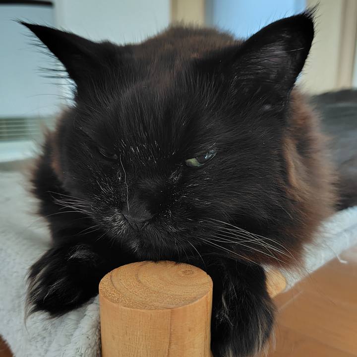 69688c16 410e 4a7f 85ae 83abd807698e 1741993809226