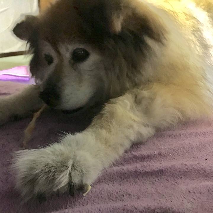 6968914f ec9d 4224 89df 7d15ca847fcf 1576547648608